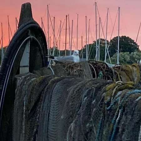 Bullerbue Ferienhaeuschen Dom wakacyjny *